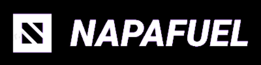 Napa Fuel Filter